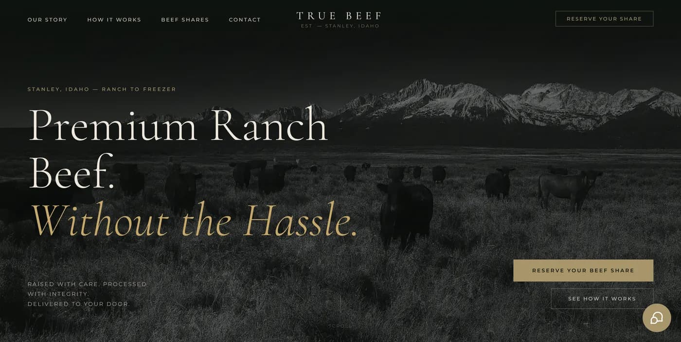 True Beef — a website built by Kura